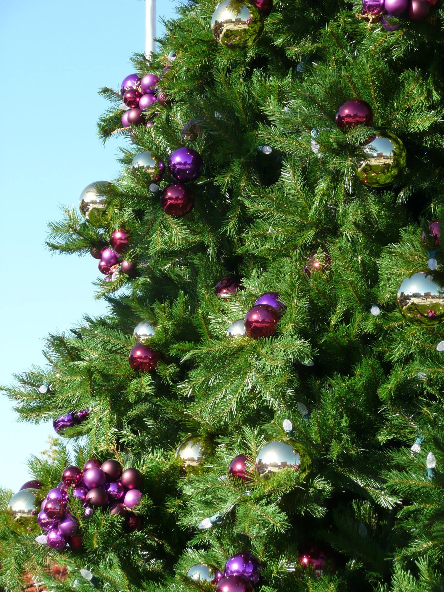 grape ornaments on Christmas Tree